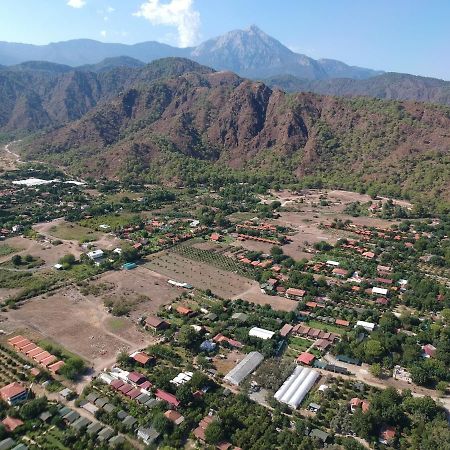 Cirali Zambak Villa المظهر الخارجي الصورة